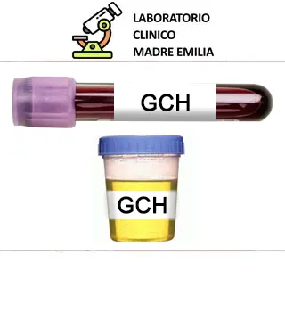 Prueba de Embarazo